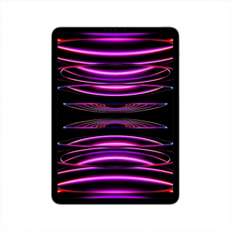[Apple] iPad Pro 6세대 12.9형 Wi-Fi 512G 스페이스그레이 [MNXU3KH/A]